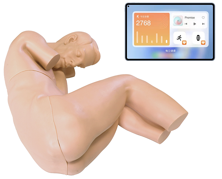 MN210高级腰椎穿刺训练系统